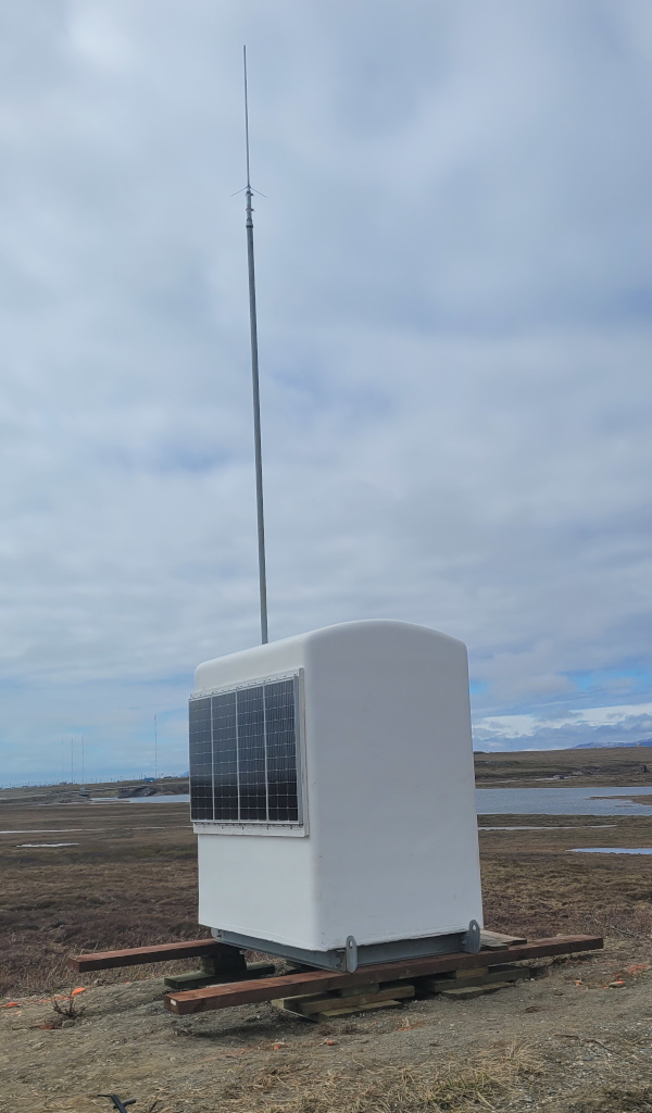 Pretty with Antenna